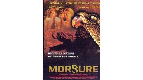 Morsure - DVD