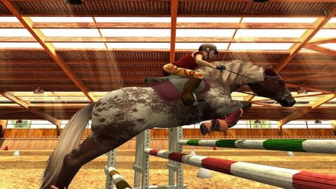 Horse life 2 Amis pour la vie - Wii