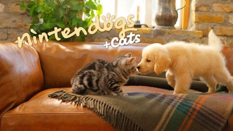 Nintendogs + cats Golden Retriever & ses nouveaux amis - 3DS