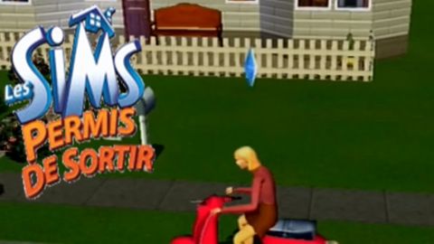 Les Sims: Permis de Sortir - PS2